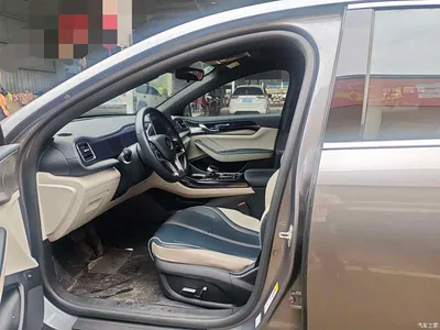 2021 BYD Qin PLUS EV 510KM Mobility Edition, фото 4, лот 11067823