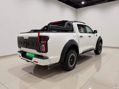 2023 Great Wall Pao 2.0T Passenger Auto Diesel 4WD Premium GW4D20M, фото 4, лот 10405977