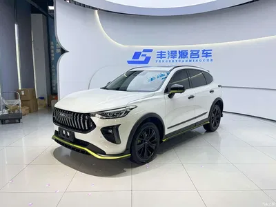 2021 Haval Chitu Turbo Edition 1.5T Golden Rabbit, фото 1, лот 11134473
