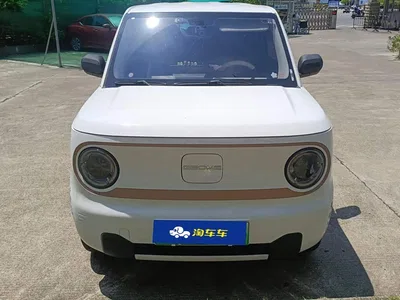 2024 Geely Galaxy Panda mini 200km Endurance Bear, фото 2, лот 10405496