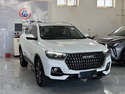 2023 Haval H6 National Trend Edition 1.5T Automatic Champion, фото 3, лот 10334436