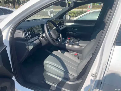 2025 BYD Song Pro New Energy 2nd Generation Smart Driving Edition DM-i 115KM Excellence Type, фото 3, лот 10273154