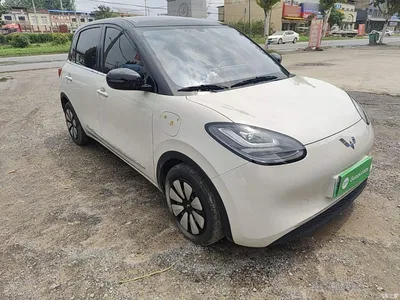 2024 Wuling Motors Wuling Bingo 333km Comfort Edition, фото 4, лот 10370760