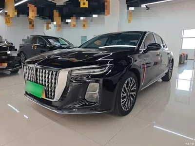 2024 Hongqi H5 2.0T Automatic Smart Connect Flag Smooth Edition, фото 2, лот 11067289
