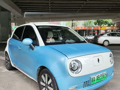 2019 Ora Black Cat 351km Family Edition, фото 3, лот 10332212