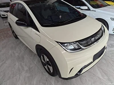 2023 BYD Dolphin 420km Fashion Edition, фото 4, лот 10264398