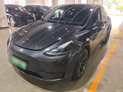2024 Tesla Model Y Rear-Wheel Drive Version, фото 1, лот 10369892
