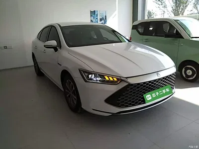 2024 BYD Qin PLUS Glory Edition DM-i 55KM Leading, фото 4, лот 10390189
