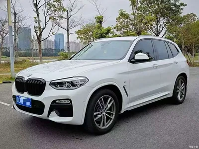 2018 BMW X3 xDrive28i M Sport Package China VI, фото 1, лот 10460982
