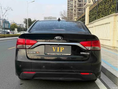 2014 Kia Forte 1.6L AT GL, фото 4, лот 10332114