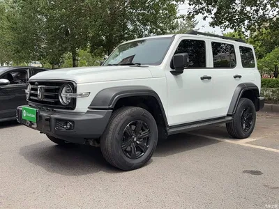 2021 Tank 300 Off-road Version 2.0T Conqueror, фото 3, лот 10345625