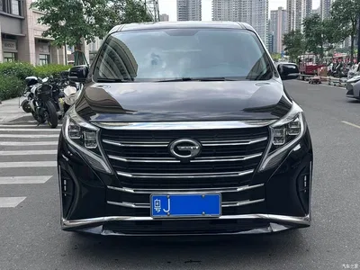 2021 GAC Trumpchi Trumpchi M8 Leading Show Series 390T Premium Edition, фото 2, лот 10418330