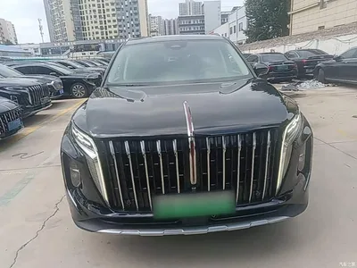 2024 Hongqi HS7 PHEV 2.0T PHEV 4WD Flagship Edition 6-seater, фото 3, лот 10289529