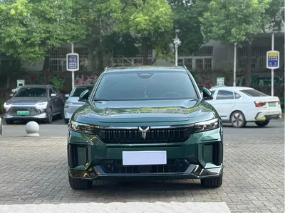 2025 Voyah Auto VOYAH FREE 318 318km RWD Touring Edition, фото 2, лот 10310578