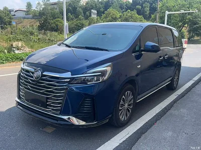 2022 Buick GL8 Land Business Class 652T Luxury, фото 2, лот 10262264