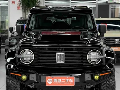 2024 Tank 300 Model 2.0T Challenger, фото 2, лот 10344667