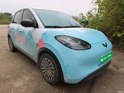 2024 Wuling Motors Wuling Bingo 410km Smart Premium Edition, фото 4, лот 10829403