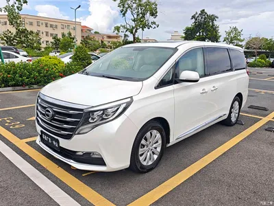 2018 GAC Trumpchi Trumpchi M8 320T Exclusive Edition, фото 1, лот 10415960