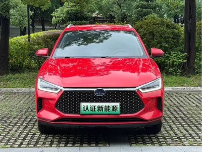 2021 BYD e2 Luxury Edition, фото 2, лот 10253588