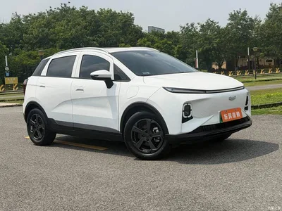 2023 Geely E Firefly 401KM Linglong Tiger 5-Seater, фото 2, лот 11155762