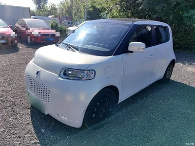 2020 Ora White Cat 360km Luxury Model, фото 1, лот 10330851