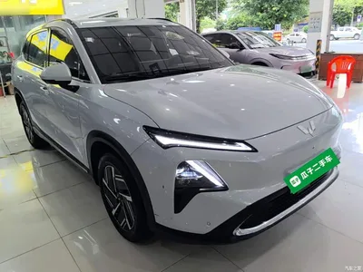 2024 Wuling Motors Wuling Xingguang S 130km Pilot, фото 4, лот 10836136