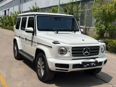 2020 Mercedes-Benz G-Class G 350, фото 1, лот 10297742