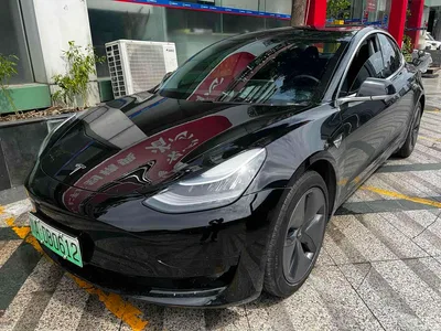2020 Tesla Model 3 Standard Range Rear-Wheel Drive Upgrade, фото 1, лот 10402113