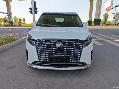 2023 Buick GL8 ES Landmaster Exclusive, фото 3, лот 10258312
