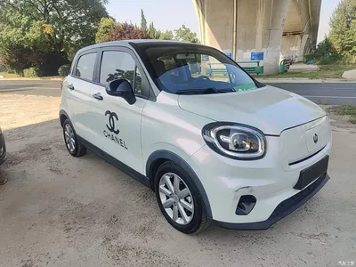 2022 Leapmotor T03 Jade Edition, фото 4, лот 10434940