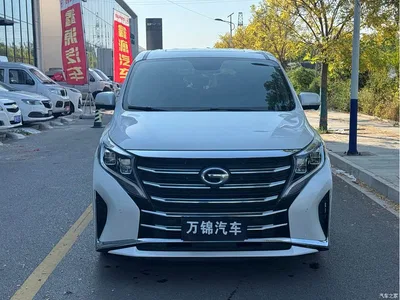 2023 GAC Trumpchi Trumpchi M8 Leading Series 390T Prestige Edition, фото 2, лот 10955244