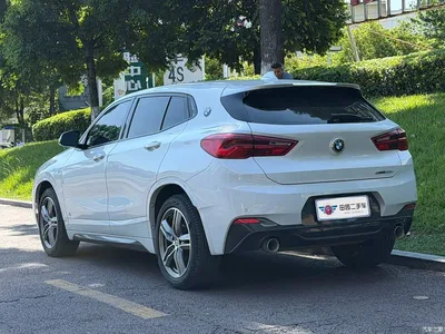 2020 BMW X2 sDrive25i Leading M Sport Package, фото 4, лот 10475295