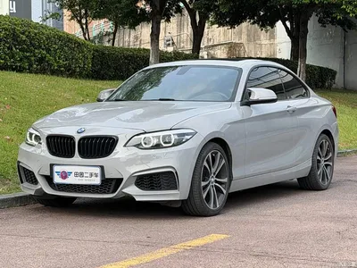 2019 BMW 2 Series (Import) 225i Sport Design Package, фото 1, лот 10471243