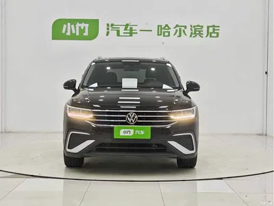 2023 Volkswagen Tiguan L 280TSI 2WD Trend Limited Edition, фото 2, лот 10415843