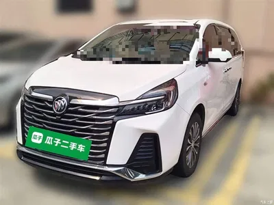 2023 Buick GL8 Facelift Land Business Class Luxury, фото 1, лот 10262487
