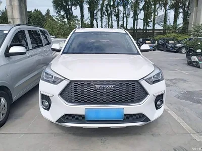 2019 Haval H6 Coupe 1.5T Auto 2WD Luxury Smart Edition China VI, фото 3, лот 11181891
