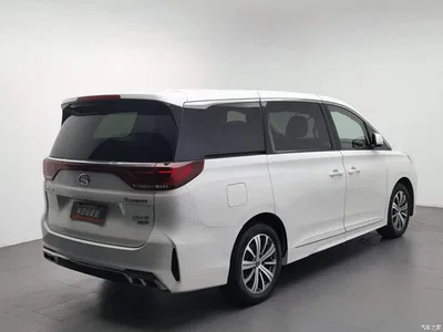 2020 GAC Trumpchi Trumpchi M8 Pilot 390T Prestige Edition, фото 2, лот 10393738
