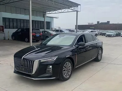 2023 Hongqi H5 1.5T DCT Smart Connect Flag Rhythm, фото 1, лот 10287078