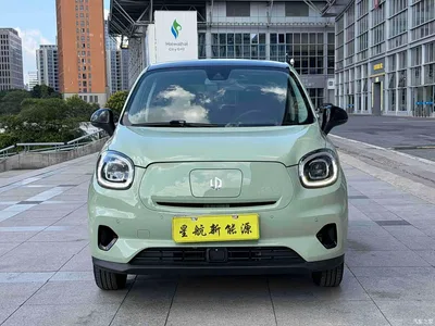 2022 Leapmotor T03 Star Diamond Edition, фото 3, лот 10316833