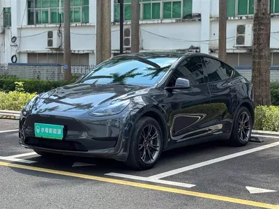 2024 Tesla Model Y Rear-Wheel Drive Version, фото 1, лот 11215337