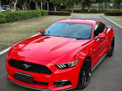 2017 Ford Mustang 2.3T Performance Edition, фото 1, лот 11095652