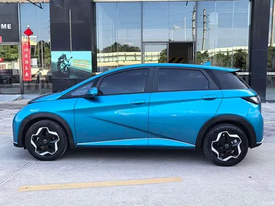2021 BYD Dolphin Model 405km Fashion Edition, фото 3, лот 10256672