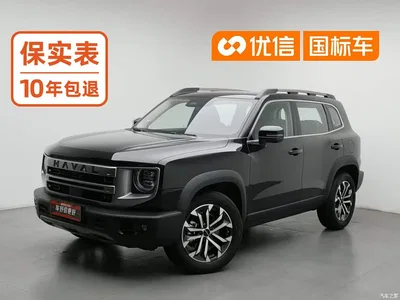 2024 Haval Big Dog 1.5T DCT Border Collie Edition, фото 1, лот 10383535