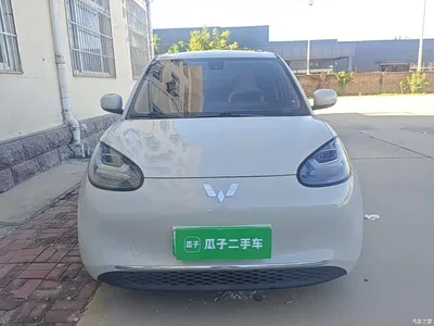 2023 Wuling Motors Wuling Bingo 333km Joyful Version, фото 3, лот 10369048