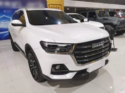 2021 Haval H6 National Trend Edition 1.5T Automatic Urban Edition, фото 4, лот 10304612