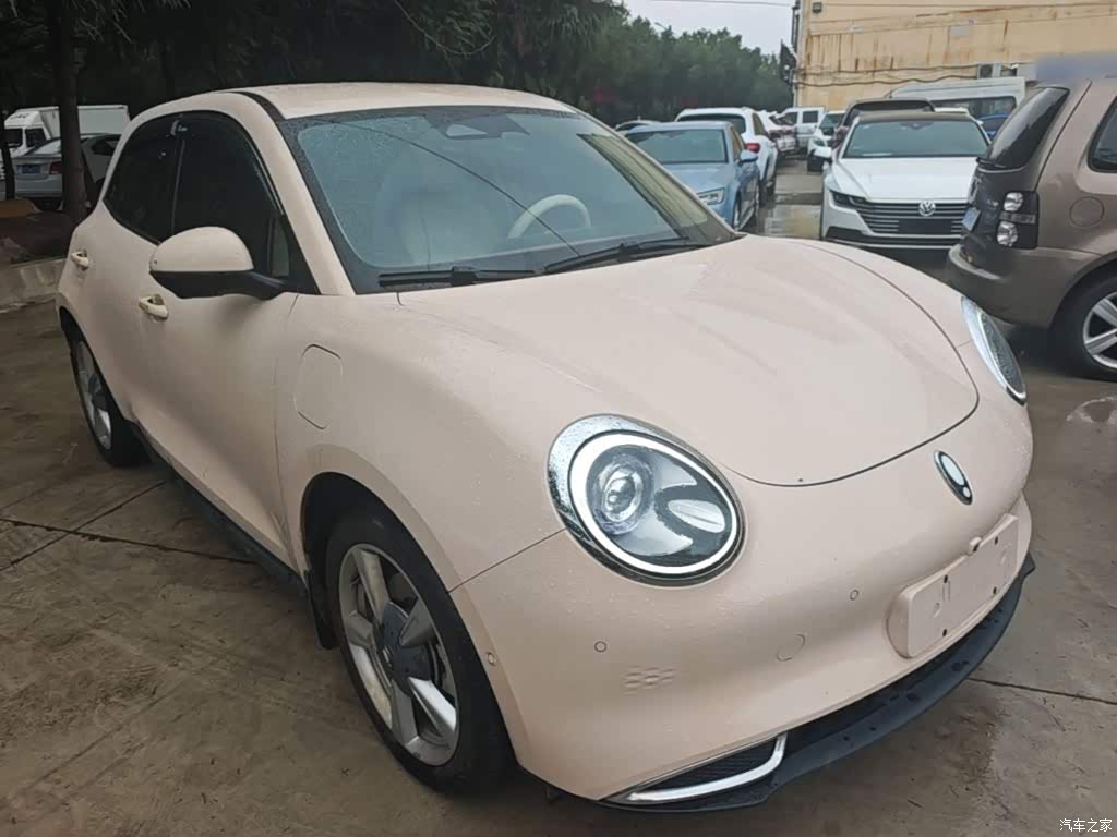 2023 Ora Good Cat 401km Standard Range Luxury LFP, фото 4, лот 11219669