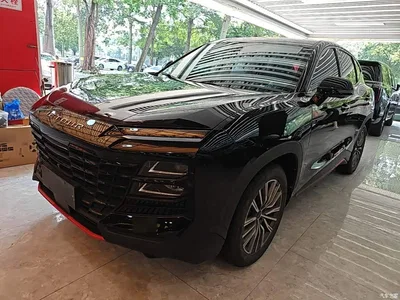 2024 Jetour Dasheng 1.6T DCT King, фото 1, лот 10822525