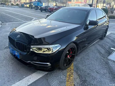 2020 BMW 5 Series 530Li Leading Luxury Package, фото 1, лот 10826786