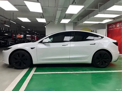 2023 Tesla Model 3 Rear-Wheel Drive, фото 4, лот 10353810