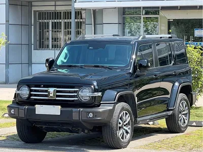 2023 Tank 300 Urban Edition 2.0T Very Stylish, фото 1, лот 10344323